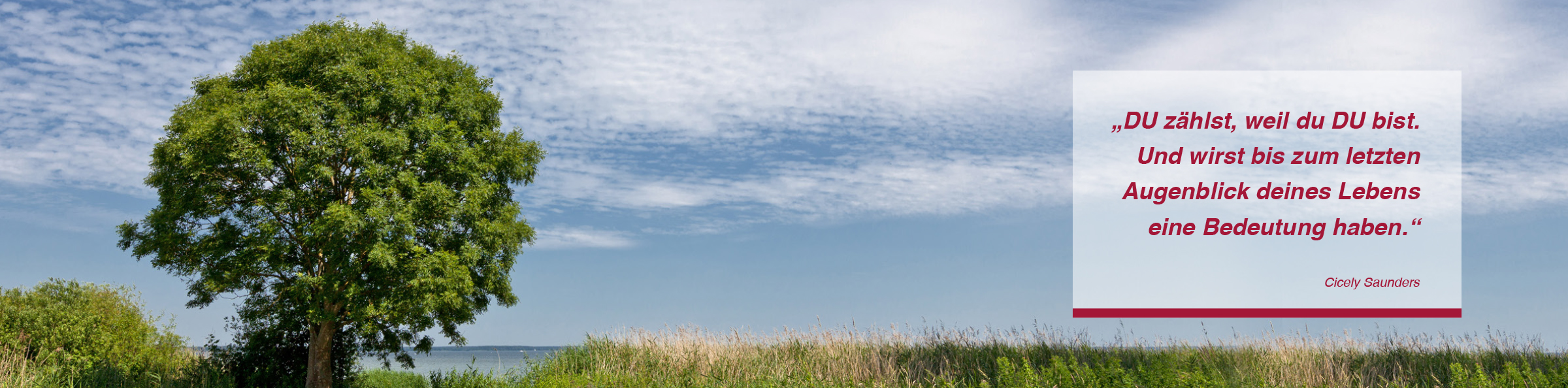Hospizarbeit DRK Mecklenburgische Seenplatte