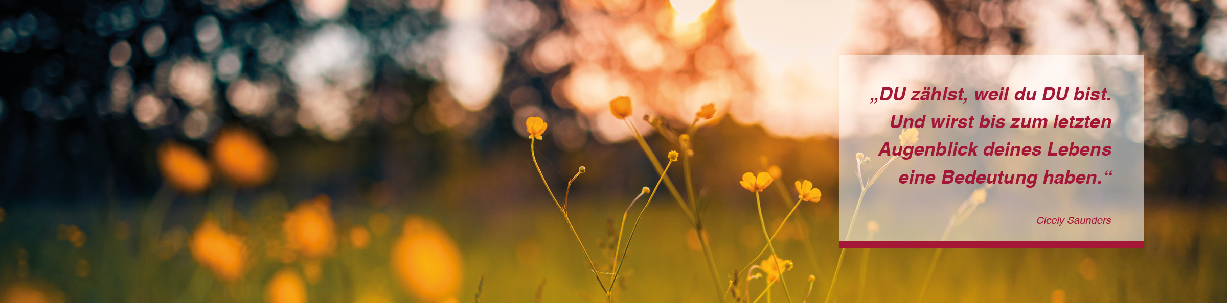 Hospizarbeit DRK Mecklenburgische Seenplatte